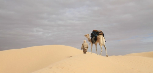 Joniec Sahara Run - human vs. desert